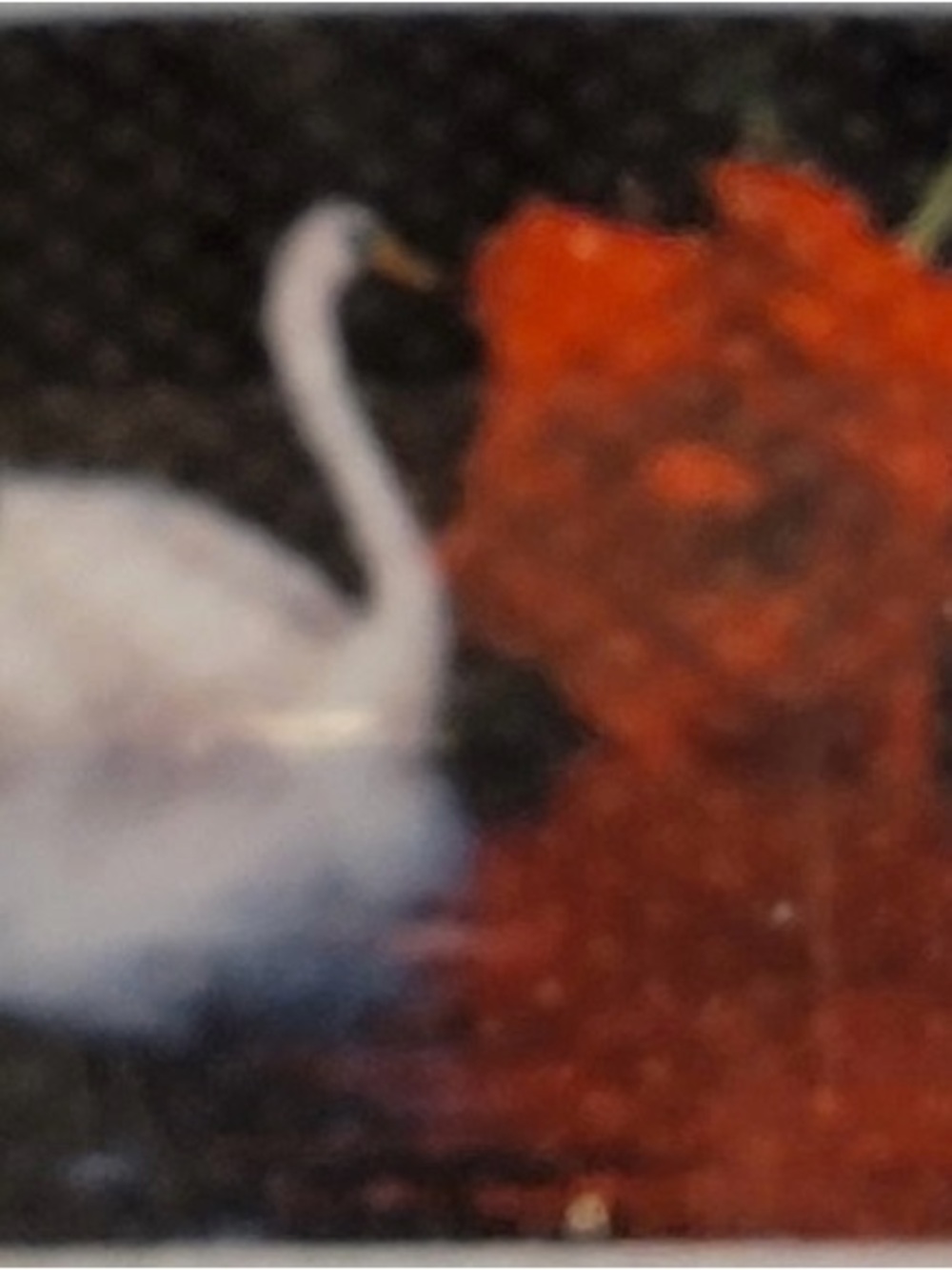 Three-Section White Swan with Red Rose Diamond Art Kit - 105x35 cm- round drills